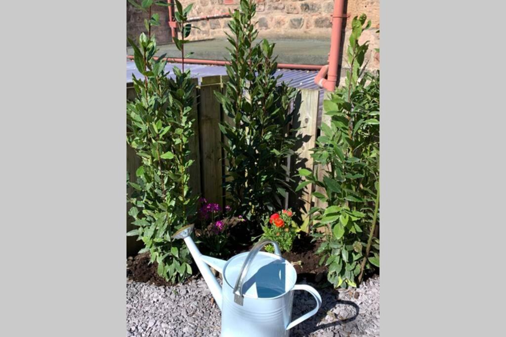 The Nook - A Stylish Apartment With Garden, Near The Beach Berwick Upon Tweed Kültér fotó